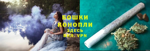 мдпв Вяземский