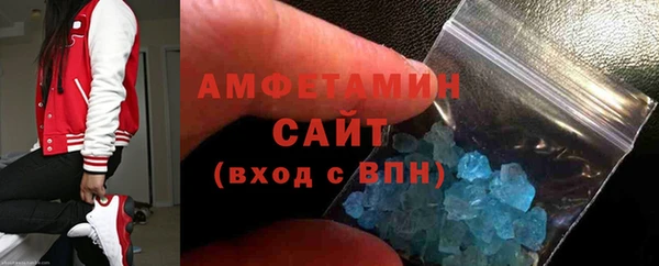 индика Горнозаводск