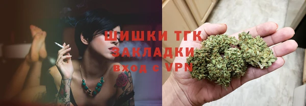 мдпв Вяземский