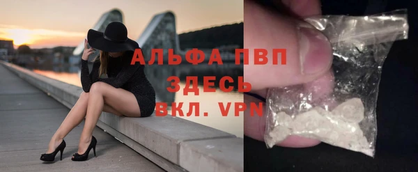 мдпв Вяземский