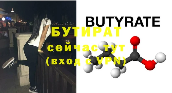 индика Горнозаводск