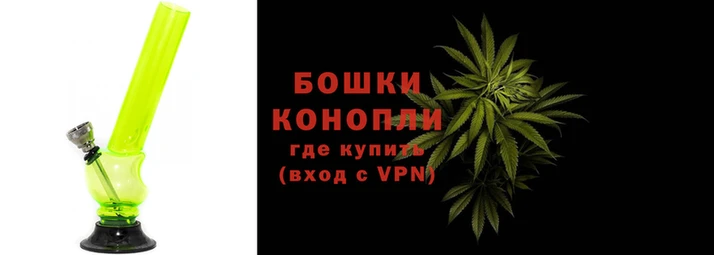 индика Горнозаводск