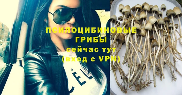 мдпв Вяземский
