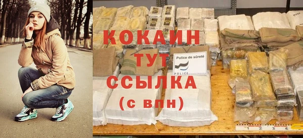 мдпв Вяземский