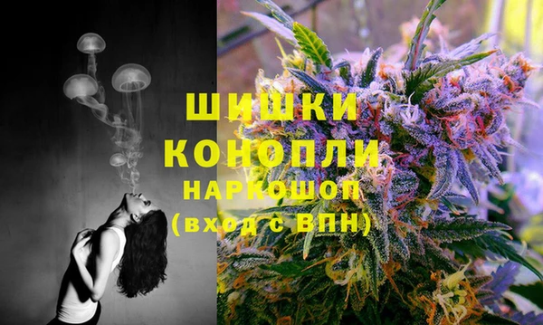 мдпв Вяземский