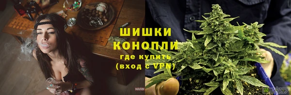 мдпв Вяземский