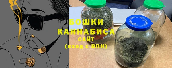 мдпв Вяземский