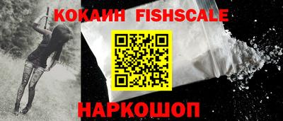 молекула духа Камышлов