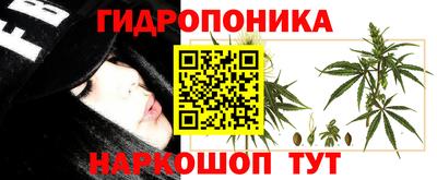 молекула духа Камышлов