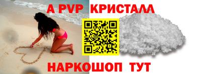 молекула духа Камышлов