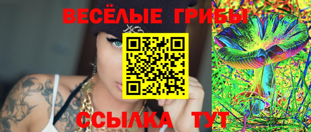 Галлюциногенные грибы Magic Shrooms Междуреченск