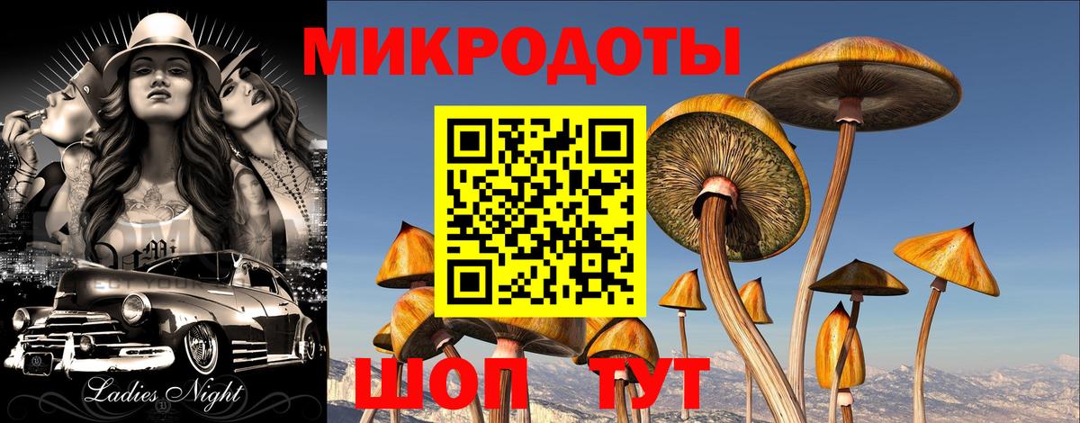 Междуреченск  Галлюциногенные грибы Psilocybe  закладка  Вход с VPN 